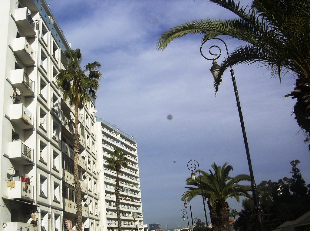 ORAN 2008 DECEMBRE Prefecture4 en allant.jpg